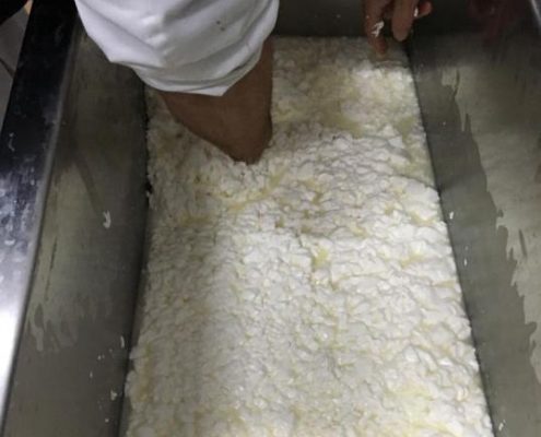 taller de queso artesanal