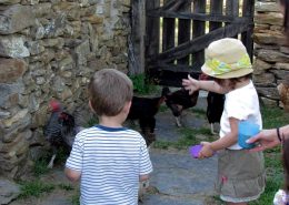 Niños, junto a los animales de la granja