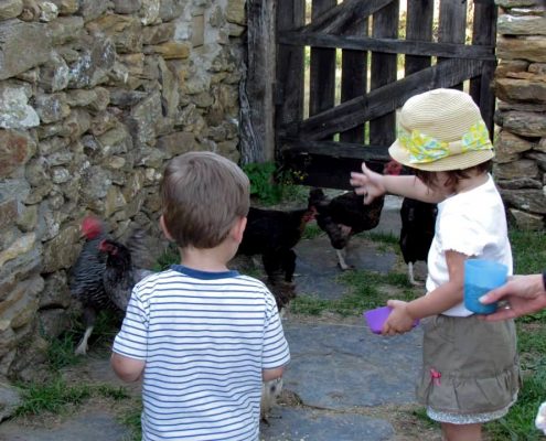 Niños, junto a los animales de la granja