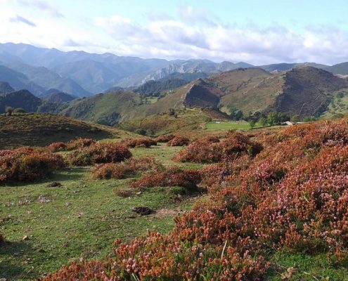 paisaje asturiano