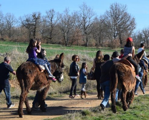 Actividades de agroturismo en España y Portugal | Naturaliste